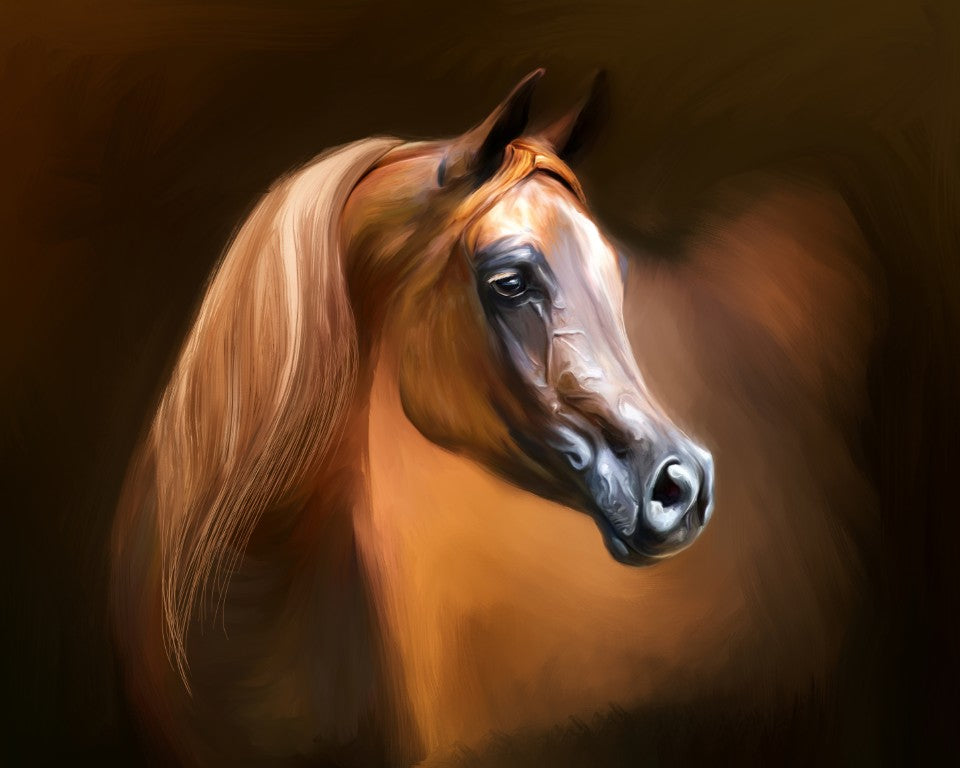 HORSES